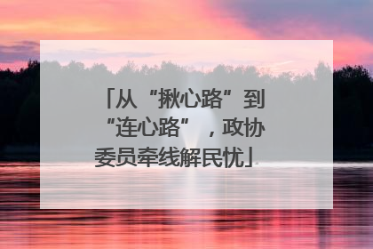 从“揪心路”到“连心路”，政协委员牵线解民忧