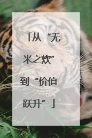 从“无米之炊”到“价值跃升”