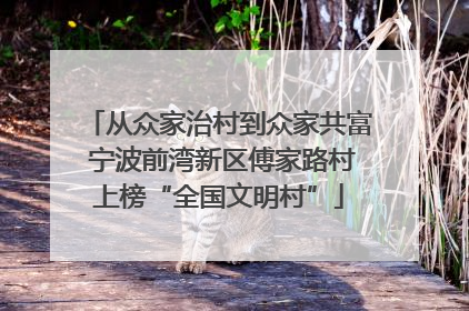 从众家治村到众家共富 宁波前湾新区傅家路村上榜“全国文明村”