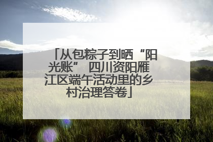 从包粽子到晒“阳光账” 四川资阳雁江区端午活动里的乡村治理答卷
