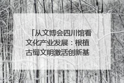 从文博会四川馆看文化产业发展：根植古蜀文明激活创新基因｜文博向“新”