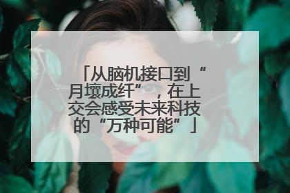 从脑机接口到“月壤成纤”，在上交会感受未来科技的“万种可能”