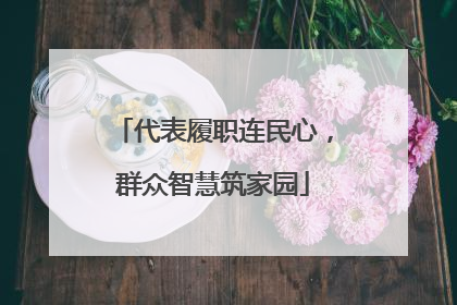 代表履职连民心，群众智慧筑家园