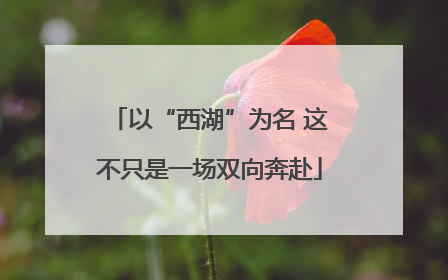 以“西湖”为名 这不只是一场双向奔赴