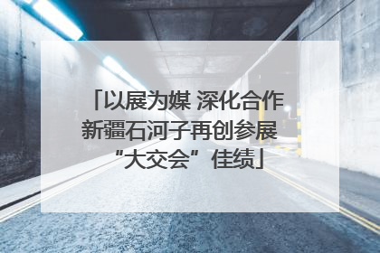 以展为媒 深化合作 新疆石河子再创参展“大交会”佳绩