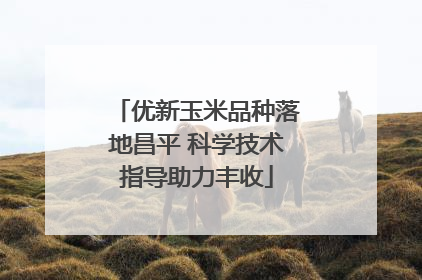优新玉米品种落地昌平 科学技术指导助力丰收