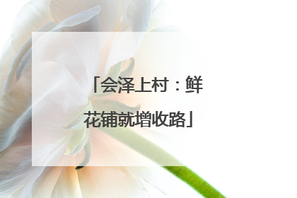 会泽上村：鲜花铺就增收路