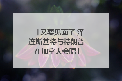 又要见面了 泽连斯基将与特朗普在加拿大会晤