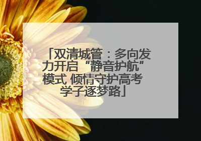 双清城管：多向发力开启“静音护航”模式 倾情守护高考学子逐梦路