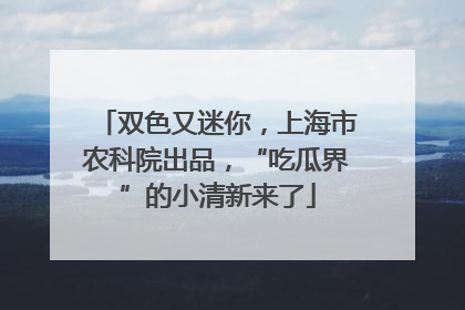 双色又迷你，上海市农科院出品，“吃瓜界”的小清新来了