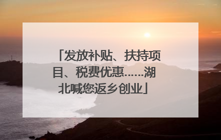发放补贴、扶持项目、税费优惠……湖北喊您返乡创业