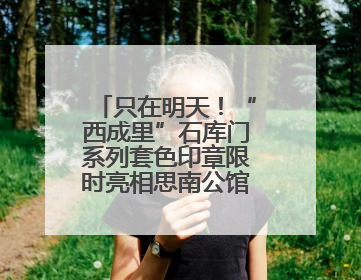 只在明天！“西成里”石库门系列套色印章限时亮相思南公馆，快来盖章吧