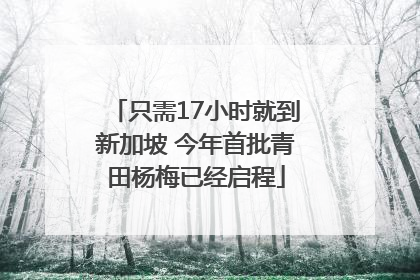 只需17小时就到新加坡 今年首批青田杨梅已经启程
