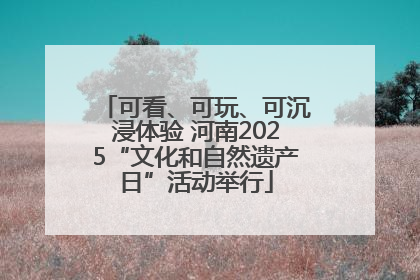 可看、可玩、可沉浸体验 河南2025“文化和自然遗产日”活动举行