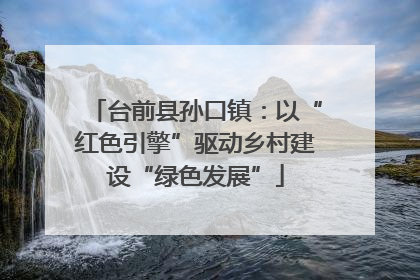 台前县孙口镇：以“红色引擎”驱动乡村建设“绿色发展”