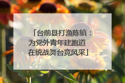 台前县打渔陈镇：为党外青年建跑道 在统战舞台竞风采