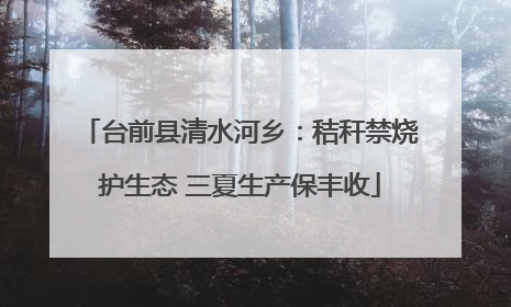 台前县清水河乡：秸秆禁烧护生态 三夏生产保丰收