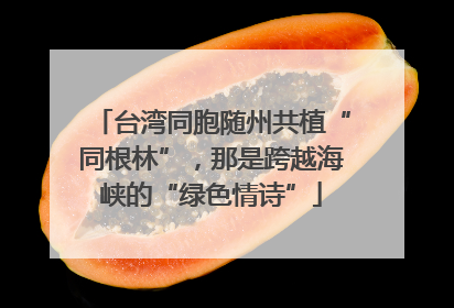 台湾同胞随州共植“同根林”，那是跨越海峡的“绿色情诗”