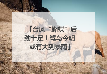 台风“蝴蝶”后劲十足！鹭岛今明或有大到暴雨