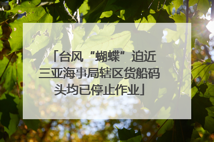 台风“蝴蝶”迫近 三亚海事局辖区货船码头均已停止作业