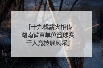 十九载薪火相传 湖南省直单位篮球赛千人竞技展风采