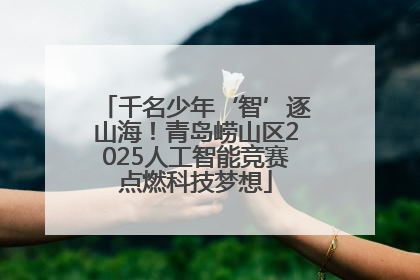 千名少年‘智’逐山海！青岛崂山区2025人工智能竞赛点燃科技梦想