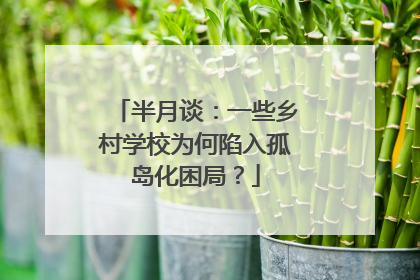 半月谈：一些乡村学校为何陷入孤岛化困局？