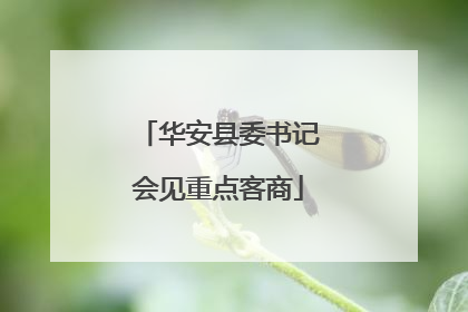 华安县委书记会见重点客商