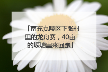 南充嘉陵区下张村里的龙舟赛，40亩的堰塘里来回跑