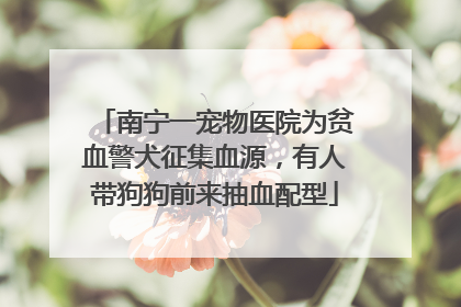 南宁一宠物医院为贫血警犬征集血源，有人带狗狗前来抽血配型