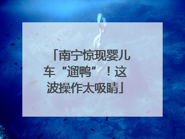 南宁惊现婴儿车“遛鸭”！这波操作太吸睛