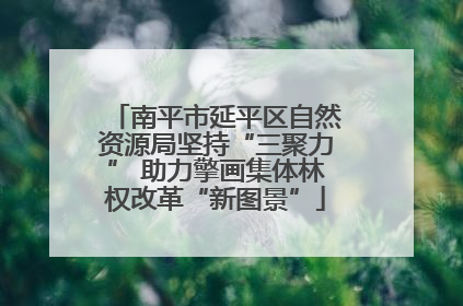 南平市延平区自然资源局坚持“三聚力” 助力擎画集体林权改革“新图景”