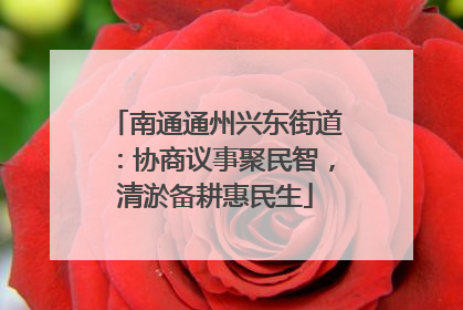 南通通州兴东街道：协商议事聚民智，清淤备耕惠民生
