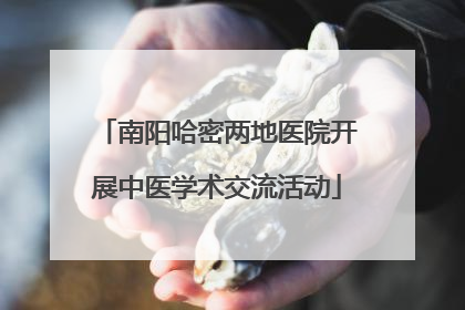 南阳哈密两地医院开展中医学术交流活动
