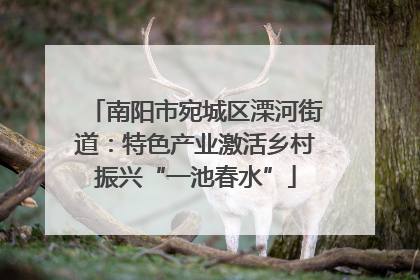 南阳市宛城区溧河街道：特色产业激活乡村振兴“一池春水”