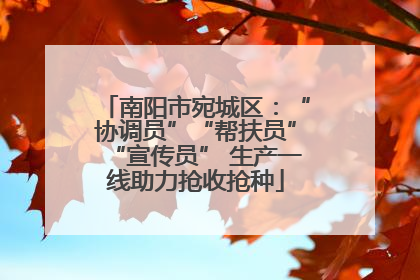 南阳市宛城区：“协调员”“帮扶员”“宣传员” 生产一线助力抢收抢种