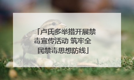 卢氏多举措开展禁毒宣传活动 筑牢全民禁毒思想防线