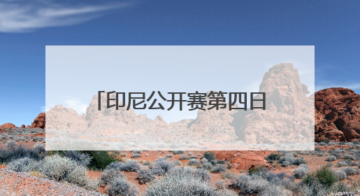 印尼公开赛第四日：李诗沣领衔 国羽多对组合冲击四强