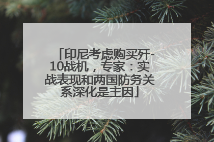 印尼考虑购买歼-10战机，专家：实战表现和两国防务关系深化是主因