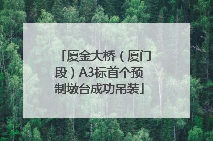 厦金大桥（厦门段）A3标首个预制墩台成功吊装