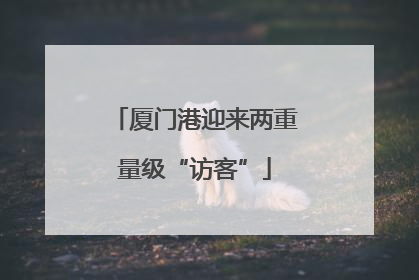 厦门港迎来两重量级“访客”