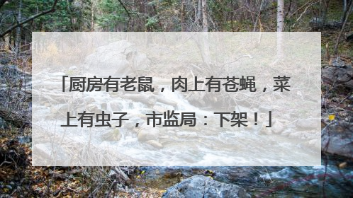 厨房有老鼠，肉上有苍蝇，菜上有虫子，市监局：下架！