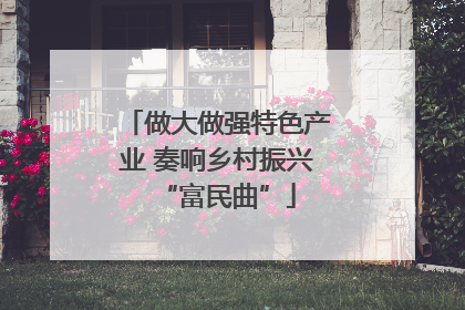 做大做强特色产业 奏响乡村振兴“富民曲”