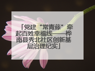 党建“常青藤”牵起百姓幸福线——桦南县秀北社区创新基层治理纪实