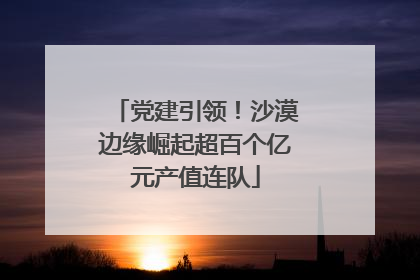 党建引领！沙漠边缘崛起超百个亿元产值连队