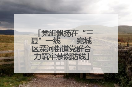 党旗飘扬在“三夏”一线——宛城区溧河街道党群合力筑牢禁烧防线