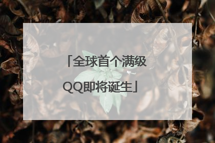 全球首个满级QQ即将诞生