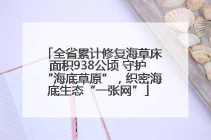 全省累计修复海草床面积938公顷 守护“海底草原”，织密海底生态“一张网”
