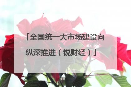 全国统一大市场建设向纵深推进（锐财经）