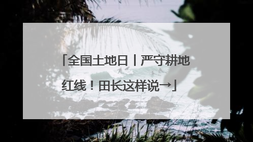 全国土地日丨严守耕地红线！田长这样说→